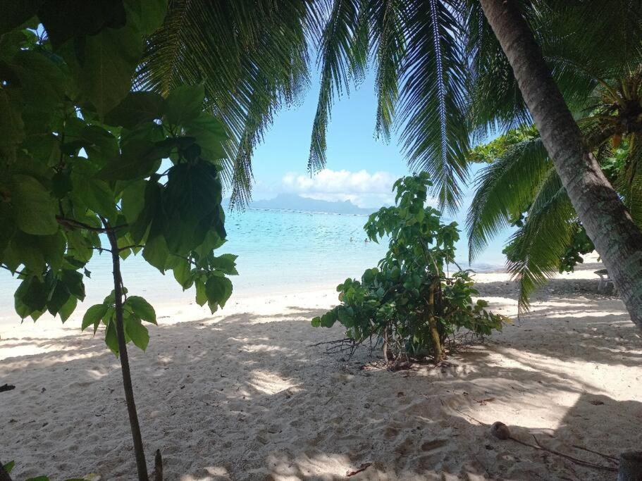 Iolana'S Beach House - Beautiful Home Punaauia (Tahiti) Exterior foto